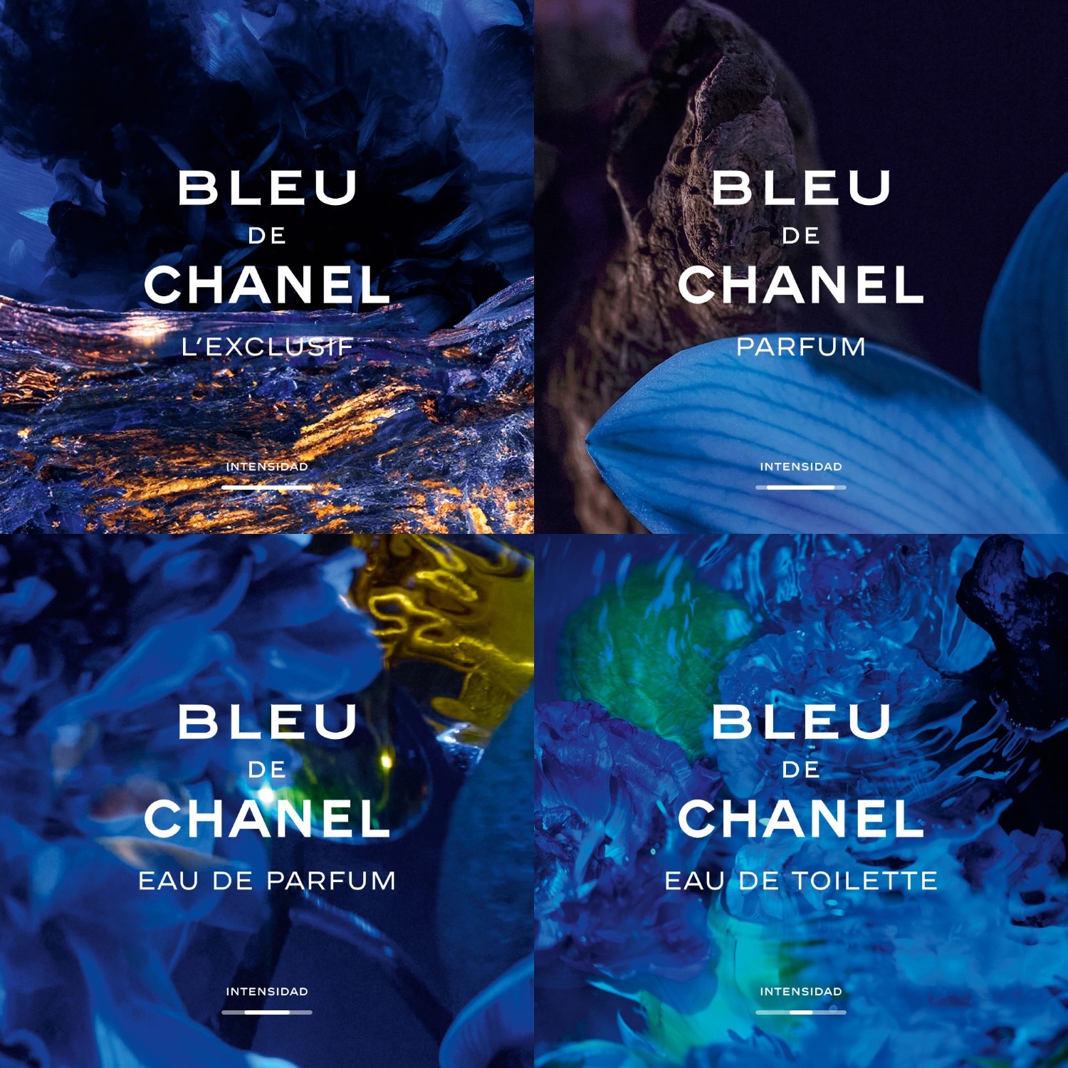 EAU DE PARFUM VAPORIZADOR